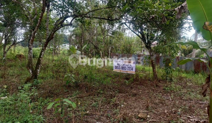 Land for sale, area 1,178 m2.