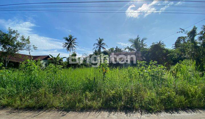 Dijual tanah total 10 kapling/ luas 2.500 m2 1