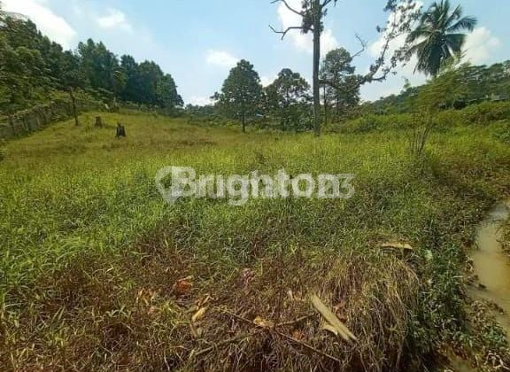 LAND ON THE MAIN ROAD FOR SALE, AREA 8,100 M²