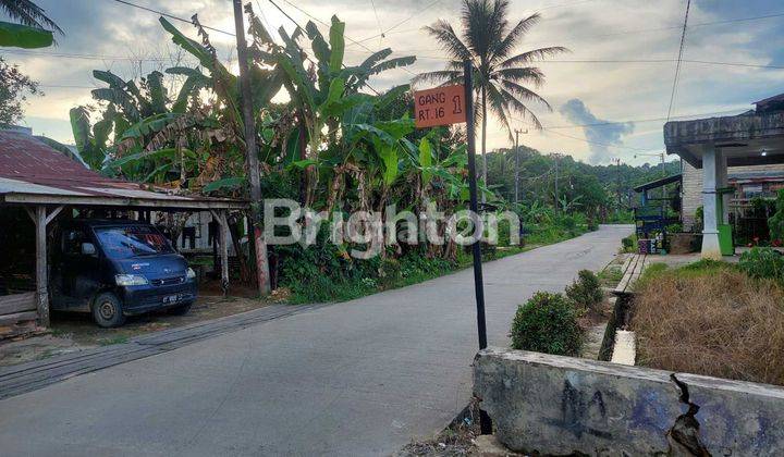 Tanah di jual luas 1.178 m2 2