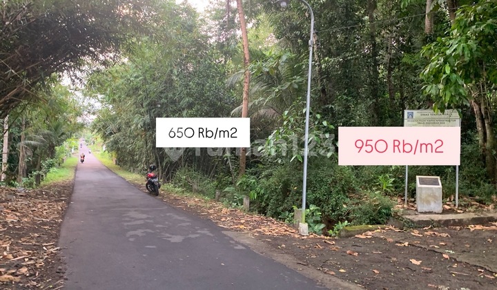 Cheap Land in Moyudan Cheap Land in Moyudan