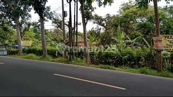 DIJUAL MURAH TANAH NARIMBANG, RANGKASBITUNG, LEBAK (Dekat TOL Serang-Panimbang)
