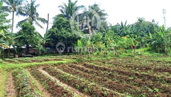 Kavling sebelah DISHUB Tangerang Jl Raya Parahu Kavling sebelah DISHUB Tangerang Jl Raya Parahu