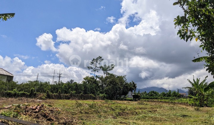 Land Merjosari Ready to Build Near UIN and UB Campus. Land Merjosari Ready to Build Near UIN and UB Campus.