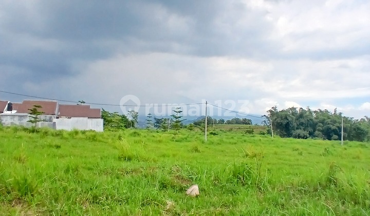 Tanah Dekat Kampus UIN 3 cocok buat KOS Tanah Dekat Kampus UIN 3 cocok buat KOS