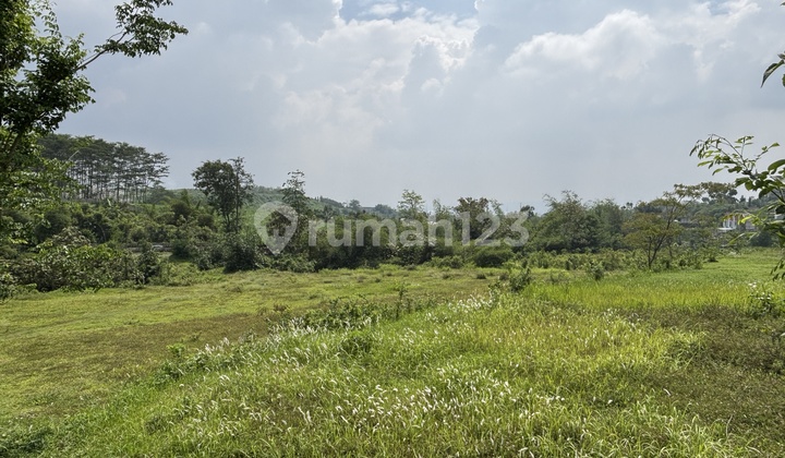 Strategic Land in Wagir Malang, Suitable for Residence or Investment Strategic Land in Wagir Malang, Suitable for Residence or Investment