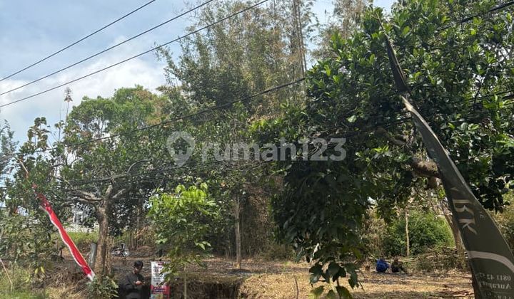 Land Ready to Build Next to Thursina Perfect for Business Land Ready to Build Next to Thursina Perfect for Business