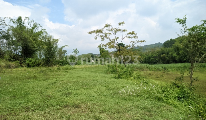 Strategic Land in Wagir Malang, Suitable for Residence or Investment Strategic Land in Wagir Malang, Suitable for Residence or Investment