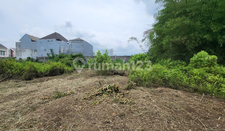 Land Near IIBS Thursina Landungsari Ready to Build Land Near IIBS Thursina Landungsari Ready to Build