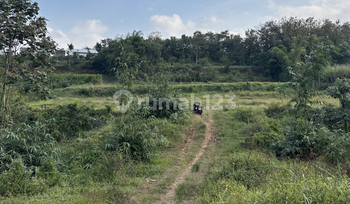 Tanah Kavling Lokasi Strategis SHM Malang 2