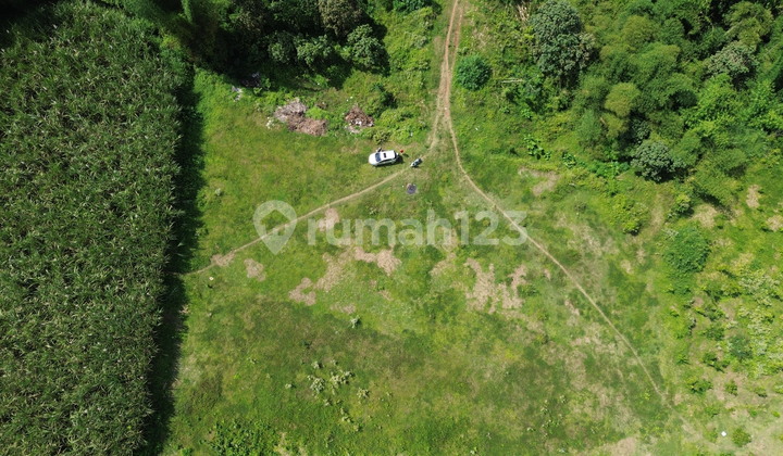 Strategic Land in Malang City Suitable for Investment Strategic Land in Malang City Suitable for Investment