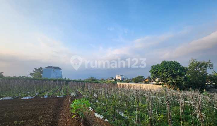 Land for Sale in Joyo Agung Merjosari – Certified Title (SHM), Ready to Build Land for Sale in Joyo Agung Merjosari – Certified Title (SHM), Ready to Build