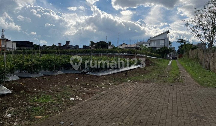 Tanah Malang Kota Dekat Umm Tanah Malang Kota Dekat Umm