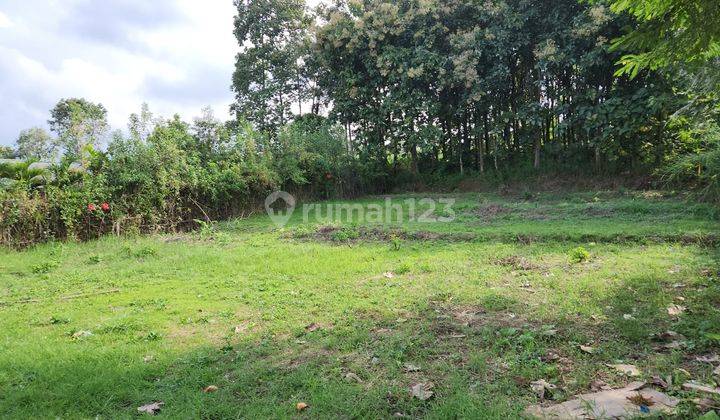 Rumah Kost 10 Kamar di Dau – Jalan Mobil, Furnish, SHM, Lokasi Strategis 2