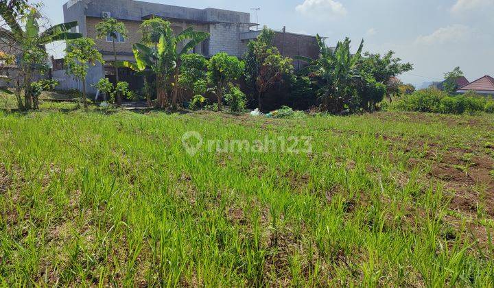 Tanah SHM Sekitaran Kampus, siap bangun. Dekat kampus UIN, UB, UMM 1