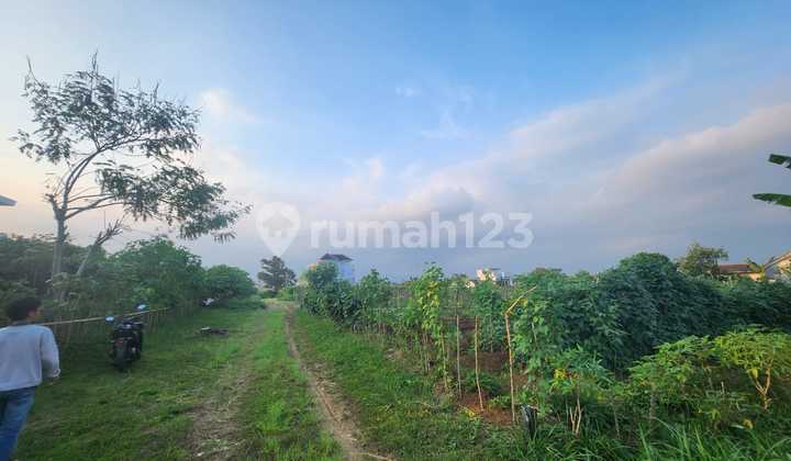Quick Sale Land Joyo Agung – Developing Location Quick Sale Land Joyo Agung – Developing Location