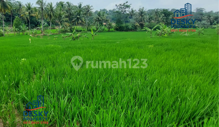 Dijual Tanah 4622 M² Shm Di Pesawahan, Purwakarta