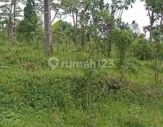 Dijual Tanah Lokasi Strategis Cocok untuk Resort, Perumahan, Villa Di Ledug Prigen, Pasuruan #MEL9DES25 Dijual Tanah Lokasi Strategis Cocok untuk Resort, Perumahan, Villa Di Ledug Prigen, Pasuruan #MEL9DES25