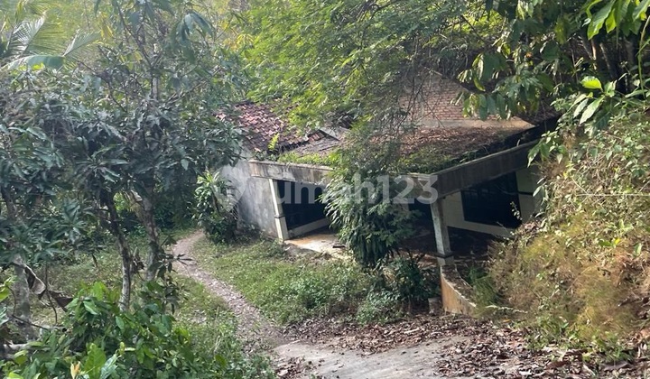 Dijual Kavling Dan Bangunan Lama Yogyakarta