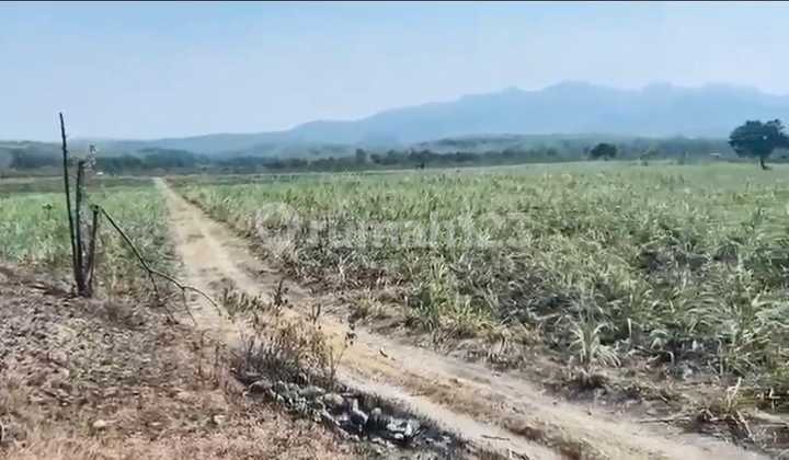 Dijual Tanah Strategis Di Rembang, Jawa Tengah #DD29OKT25