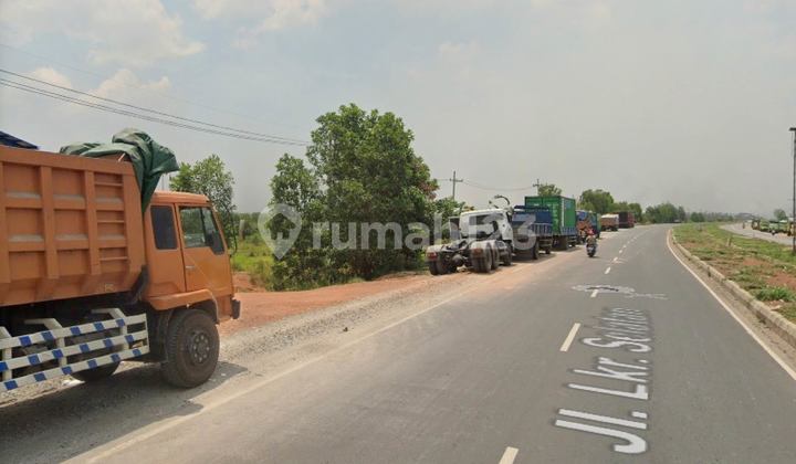 For Sale, Kayu Bawang Village Land, Kalimantan, Suitable for Investment.