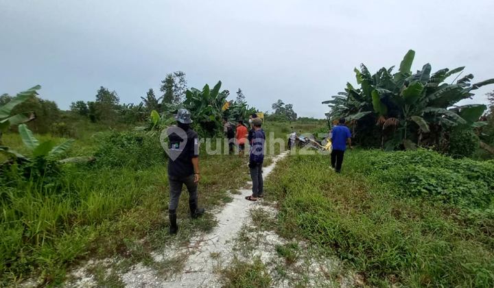 For Sale, Kayu Bawang Village Land, Kalimantan, Suitable for Investment.