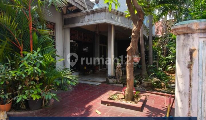 Dijual Murah Rumah Klasik Full Furnished Jati Rare Srengseng Jakarta Barat
