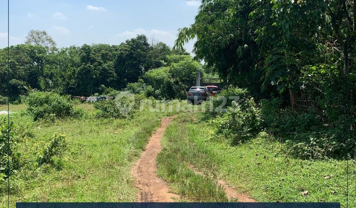 Tanah Lokasi Strategis LT 9013 M2 Cikeusal Serang Banten Tanah Lokasi Strategis LT 9013 M2 Cikeusal Serang Banten