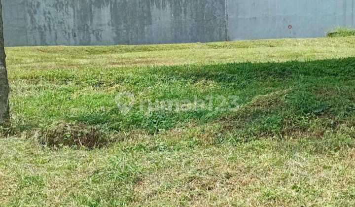 For Rent Commercial Area Citraland Utama