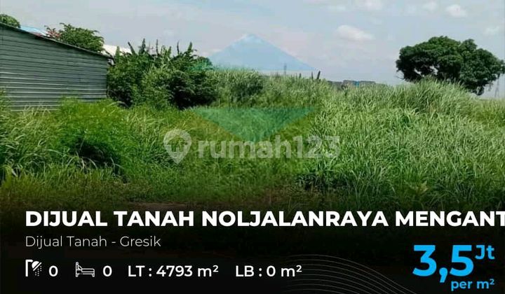 Dijual Tanah Raya Menganti Cocok Untuk Pergudangan, Industri Non Limbah Dijual Tanah Raya Menganti Cocok Untuk Pergudangan, Industri Non Limbah