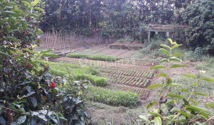 Hot Deal Tanah Pandaan Dekat Tempat Wisata 2