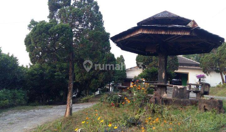 Hot Deal Tanah Pandaan Dekat Tempat Wisata 1