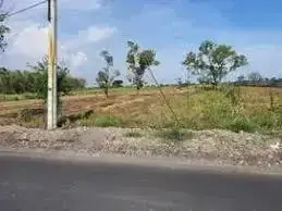 Tanah Komersil, Driyorejo Gresik,lt 2,5ha, Cocok Untuk Ruko 1