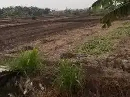 Tanah Dan Gudang, Lt 1.150m2, Krikilan Gresik, Dekat Tol 1