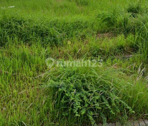 Dijual Tanah Krian Luas 1,9 Ha, Hgb, Cocok Untuk Gudang, Industri 1