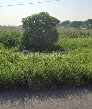 Tanah 15000, Kami spesialis Driyorejo, Stok banyak, Hubungi kami 1