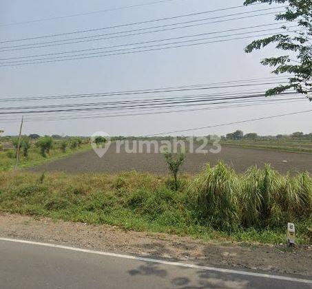 Tanah 33.000 m2, cocok buat Pabrik, Kami Spesialis Tanah Gresik. 1