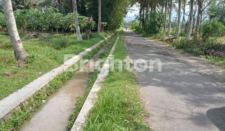 Dijual Tanah Pekarangan di Mertoyudan, Magelang, JawaTengah  2