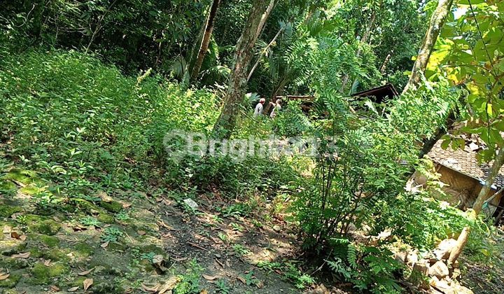 Dijual Murah Tanah Luas di Lendah, Kulon Progo, Daerah Istimewa Yogyakarta 2