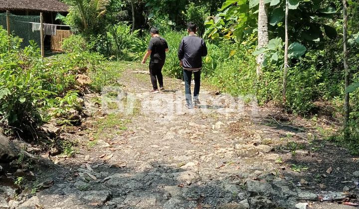 Dijual Murah Tanah Luas di Lendah, Kulon Progo, Daerah Istimewa Yogyakarta 1