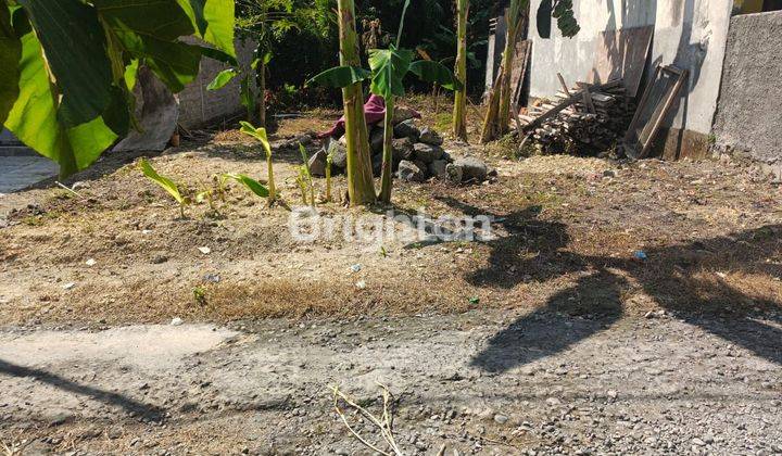 Dijual Tanah Pekarangan Strategis, Utara SMAN 1 Wates, Kulon Progo, Daerah Istimewa Yogyakarta  1