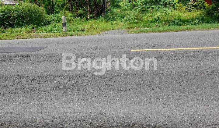 Dijual Murah Nego Sampai Deal Tanah Luas dan Strategis di Panjatan, Kulon Progo, Daerah Istimewa Yogyakarta  1