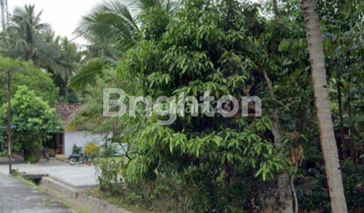 Dijual Murah Nego Sampai Deal Tanah Luas dan Strategis di Panjatan, Kulon Progo, Daerah Istimewa Yogyakarta  2