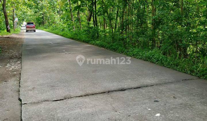 Turun Harga! Tanah Murah Sukoharjo Lebar Depan 15 m2 2