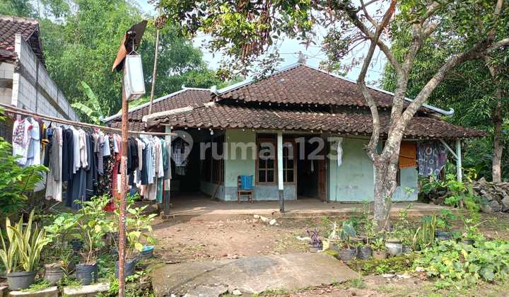 Tanah Luas Murah Bonus Bangunan Rumah Cocok untuk Usaha Peternakan 2
