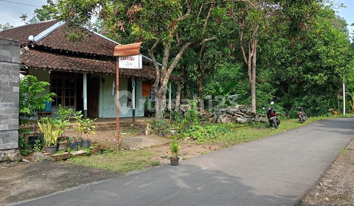 Tanah Luas Murah Bonus Bangunan Rumah Cocok untuk Usaha Peternakan 1