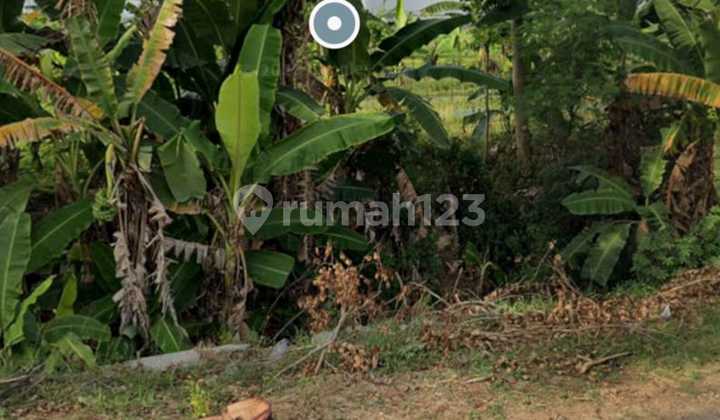 Lahan Zona Industri Strategis Lokasi Sambungmacan Sragen Luas 6 Ha