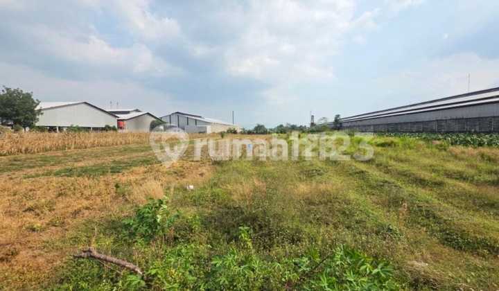 Lahan Kawasan Industri Lokasi Klaten Luas 4400M2