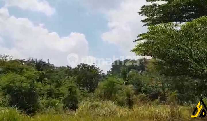 Strategic Industrial Land Location Mojosongo, Boyolali 5.5 Ha Strategic Industrial Land Location Mojosongo, Boyolali 5.5 Ha