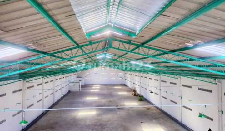 Strategic Industrial Zone Warehouse Location Sukoharjo Area 1545m2
